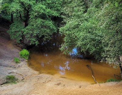 Natuur